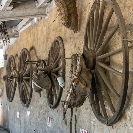 Sant Grau Turismo Saludable Y Responsable Solsona